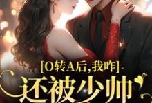 在线寻找池影霍时晏的小说，O转A后，我咋还被少帅强取豪夺了免费阅读-够力荐小说推荐网