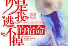完整版的你是我逃不掉的宿命小说在哪里可以免费读到?-够力荐小说推荐网