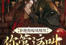完整版的拒绝你嫁凤凰男,你管这叫恶人?小说在哪里可以免费读到?-够力荐小说推荐网