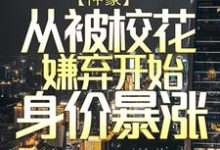 神豪：从被校花嫌弃开始身价暴涨最新章节，神豪：从被校花嫌弃开始身价暴涨免费阅读-够力荐小说推荐网