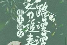 重生嫡女:王爷追妻路漫漫苏妧刘曜,重生嫡女:王爷追妻路漫漫小说免费阅读-够力荐小说推荐网