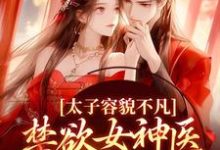太子容貌不凡，禁欲女神医爱疯了小说的无弹窗阅读体验，寻找免费阅读网站-够力荐小说推荐网