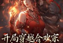 完整版的开局穿越合欢宗,被迫当海后!小说在哪里可以免费读到?-够力荐小说推荐网