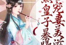 庶女崛起！腹黑皇子暴躁宠妻美滋滋裴时沅李意寻小说大结局免费试读-够力荐小说推荐网