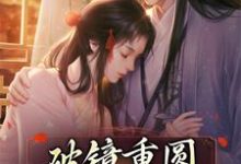 主角傅辞姜晚小说破镜重圆:权臣跪求复合免费阅读-够力荐小说推荐网