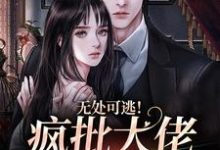 《无处可逃！疯批大佬强制爱》全集免费在线阅读（蔻里·杰森姜亦乔）-够力荐小说推荐网