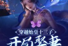 穿越始皇十三子,开局娶妻少司命赢扶澈少司命,穿越始皇十三子,开局娶妻少司命在线无弹窗阅读-够力荐小说推荐网