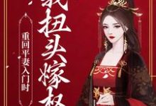 重回平妻入门时,我扭头嫁权王小说全文哪里可以免费看?-够力荐小说推荐网