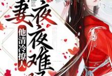 他清冷撩人,娇妻夜夜难眠小说全文哪里可以免费看?-够力荐小说推荐网