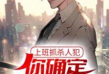 男女主人公徐麟苏小七小说上班抓杀人犯，你确定他是交警？章节免费阅读-够力荐小说推荐网