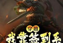 穿越:我靠签到系统称霸天下小说,穿越:我靠签到系统称霸天下章节在线阅读-够力荐小说推荐网
