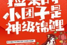 《捡来的小团子是神级锦鲤》小说章节在线试读，《捡来的小团子是神级锦鲤》最新章节目录-够力荐小说推荐网