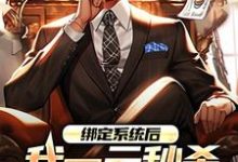 林帆小说叫什么（绑定系统后，我一元秒杀一辆奔驰免费阅读）-够力荐小说推荐网