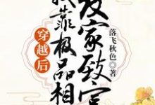 穿越后，我靠极品相公发家致富小说最新章节在哪里可以读到？-够力荐小说推荐网