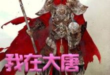我在大唐卖军火最新章节,我在大唐卖军火免费阅读-够力荐小说推荐网