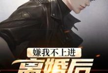 小说《嫌我不上进？离婚后我开挂了》章节阅读-够力荐小说推荐网
