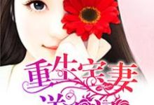 重生宝妻送上门小说的免费阅读版本在哪里可以找到?-够力荐小说推荐网