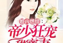 斯皓宸简熙简世勋的小说在哪里看?免费在线阅读婚内燃情:帝少狂宠甜蜜妻-够力荐小说推荐网