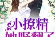 豪门团宠：小撩精她野翻了最新章节，豪门团宠：小撩精她野翻了免费阅读-够力荐小说推荐网