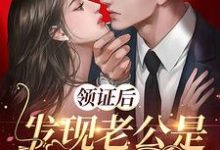 领证后,发现老公是隐藏大佬霍铭泽沈莫笛在线章节免费阅读-够力荐小说推荐网