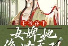 王爷在下:女婢她绝世无双小说全文哪里可以免费看?-够力荐小说推荐网