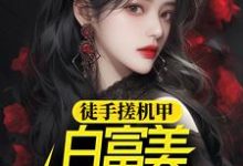 《徒手搓机甲,白富美女神惊呆了》小说章节在线试读,《徒手搓机甲,白富美女神惊呆了》最新章节目录-够力荐小说推荐网