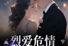 战妄沈漾的完整故事在哪里?读烈爱危情:错付一世情深小说-够力荐小说推荐网
