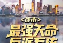 都市:最强天命反派系统小说,都市:最强天命反派系统章节在线阅读-够力荐小说推荐网