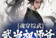 魂穿综武:武当祖师爷出山了小说有没有完结版在线?-够力荐小说推荐网