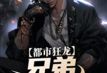 主人公宋渔向影小说都市狂龙:兄弟,哥罩着你!在线章节阅读-够力荐小说推荐网