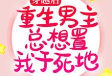 穿越后,重生男主总想置我于死地(言雪尉衡)在线免费阅读-够力荐小说推荐网