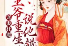 宠妻狂魔:王爷重生后说他错了沈雁归墨承影,宠妻狂魔:王爷重生后说他错了章节在线阅读-够力荐小说推荐网