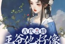 古代言情:王爷他好像是断袖啊这本小说怎么样?免费在线阅读试试-够力荐小说推荐网