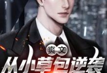 完结版《爽文！从小草包逆袭成一方大鳄》免费阅读-够力荐小说推荐网
