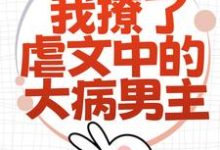 为了活命，我撩了虐文中的大病男主小说无弹窗阅读的网站推荐-够力荐小说推荐网