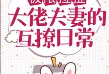 极限拉扯:大佬夫妻的互撩日常苏郁沈衍小说在线章节目录阅读最新章节-够力荐小说推荐网