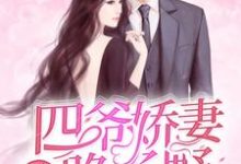 重生逆袭:四爷娇妻路子野这本小说在哪里可以看?哪里有免费试读章节?-够力荐小说推荐网