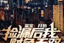 鉴宝:开始捡漏后我财色无双主角林枫温婉晴小说完结版章节在线阅读-够力荐小说推荐网