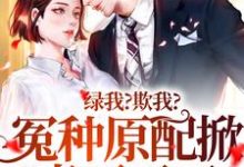 绿我?欺我?冤种原配掀桌不干了小说的免费阅读版本在哪里可以找到?-够力荐小说推荐网