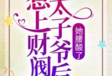 惹上财阀太子爷后,她腰酸了小说最新更新在哪里?免费在线看-够力荐小说推荐网