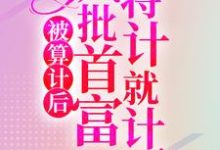 林冉陆霆骁小说在哪里可以看-够力荐小说推荐网
