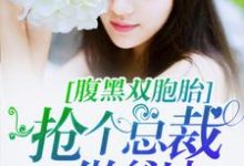 哪里可以免费读到 程海安陆一琛的完整故事？寻找腹黑双胞胎：抢个总裁做爹地-够力荐小说推荐网