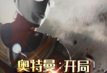 奥特曼:开局变身迪迦方源赛罗,奥特曼:开局变身迪迦章节在线阅读-够力荐小说推荐网