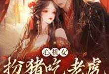 心机女扮猪吃老虎,诱王爷沦陷这本小说在哪里可以看?哪里有免费试读章节?-够力荐小说推荐网