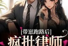 带崽跑路后，疯批律师急哭了小说有没有完结版在线？-够力荐小说推荐网