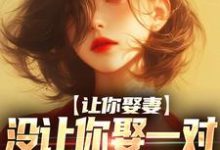 《让你娶妻,没让你娶一对富婆姐妹啊》全集免费在线阅读(莫轩洛诗雅)-够力荐小说推荐网
