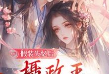 假装失忆后，摄政王重新爱上她小说全文哪里可以免费看？-够力荐小说推荐网