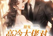 甜宠：高冷大佬对娇娇犯花痴了小说有没有完整的免费版本在线阅读？-够力荐小说推荐网