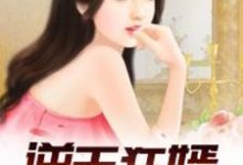 逆天狂婿（龙王殿）小说，逆天狂婿（龙王殿）免费阅读-够力荐小说推荐网