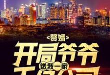 已完结小说《赘婿:开局爷爷送我一家千亿公司》章节在线阅读-够力荐小说推荐网